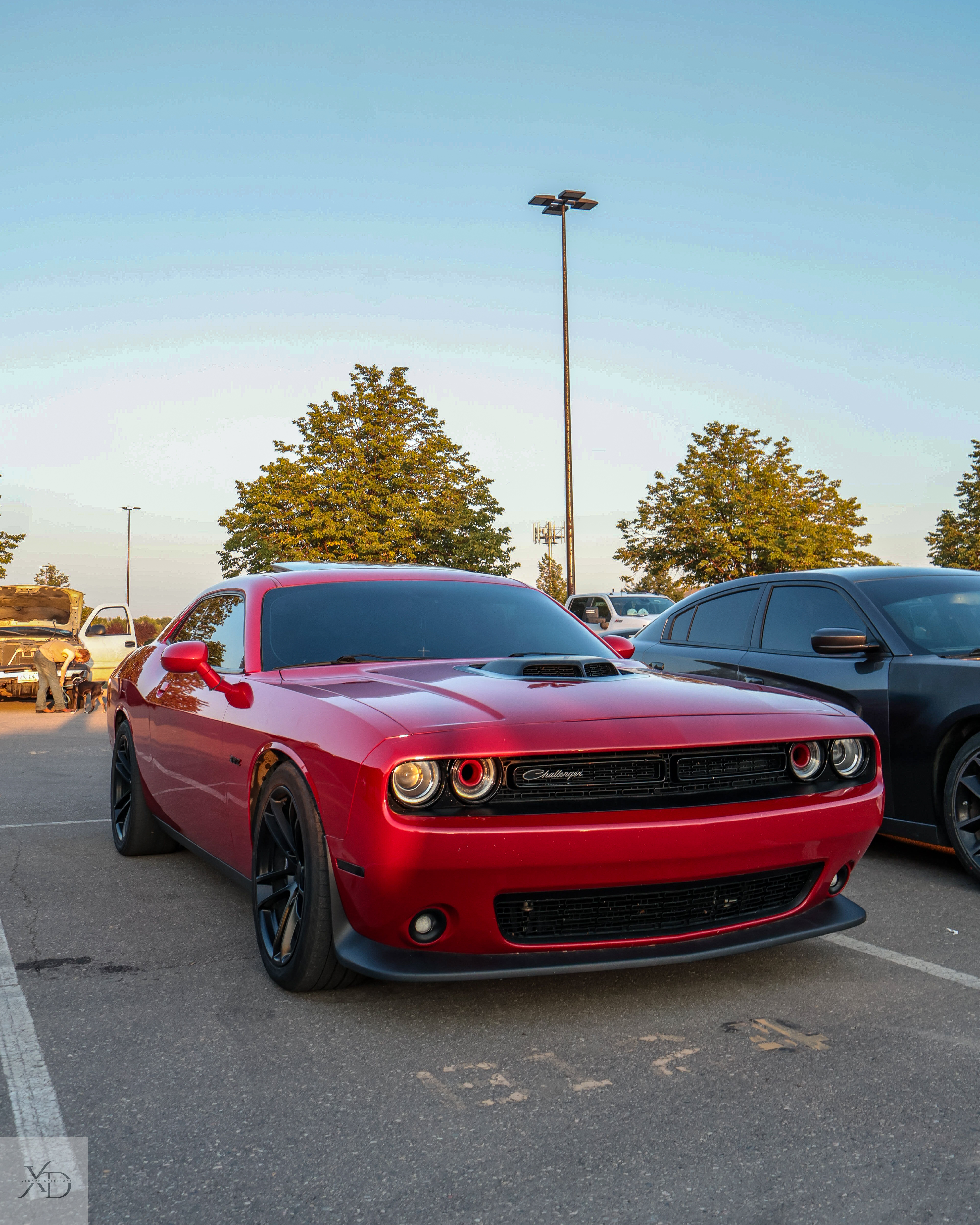 Car show photo 15