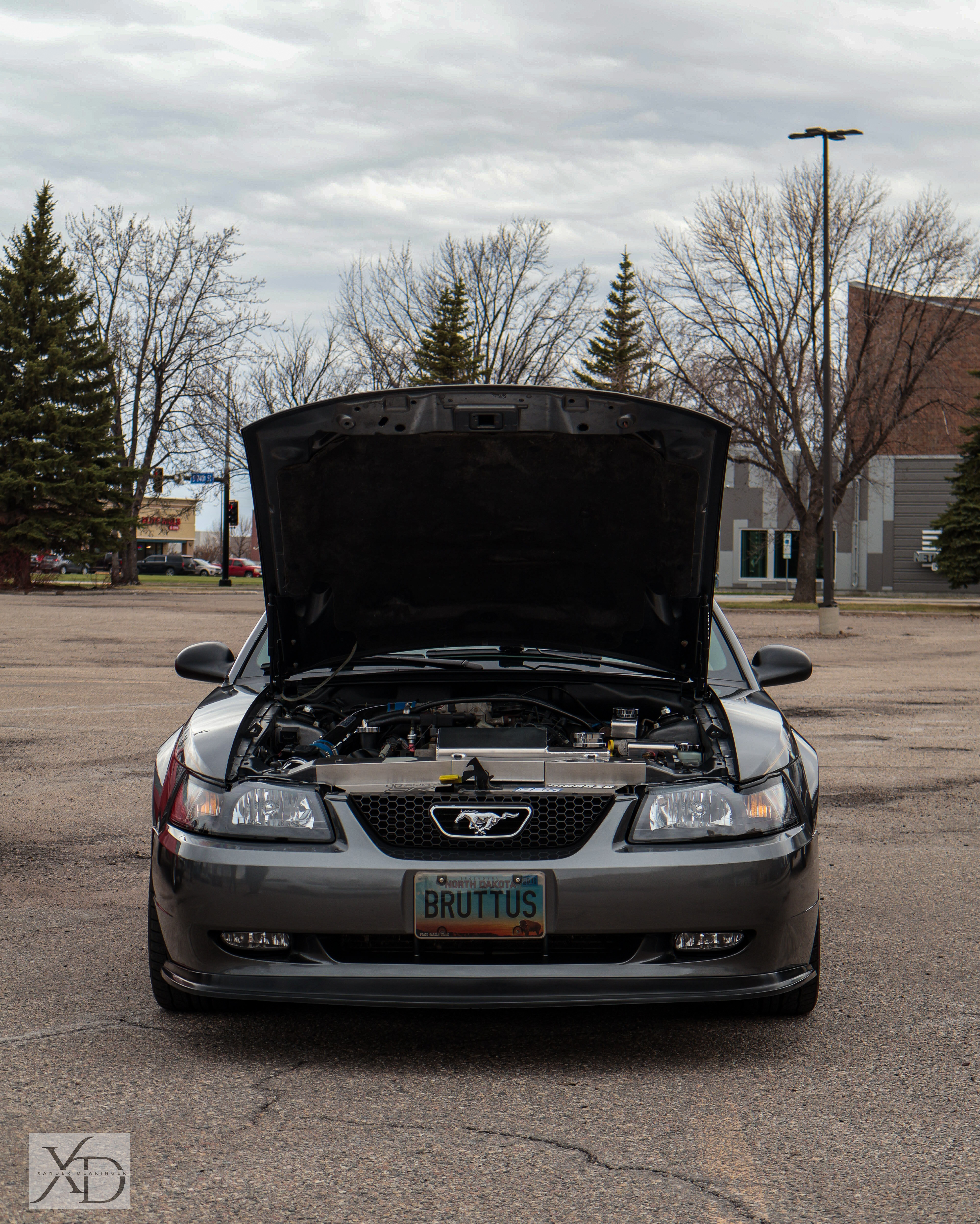 Car show photo 16