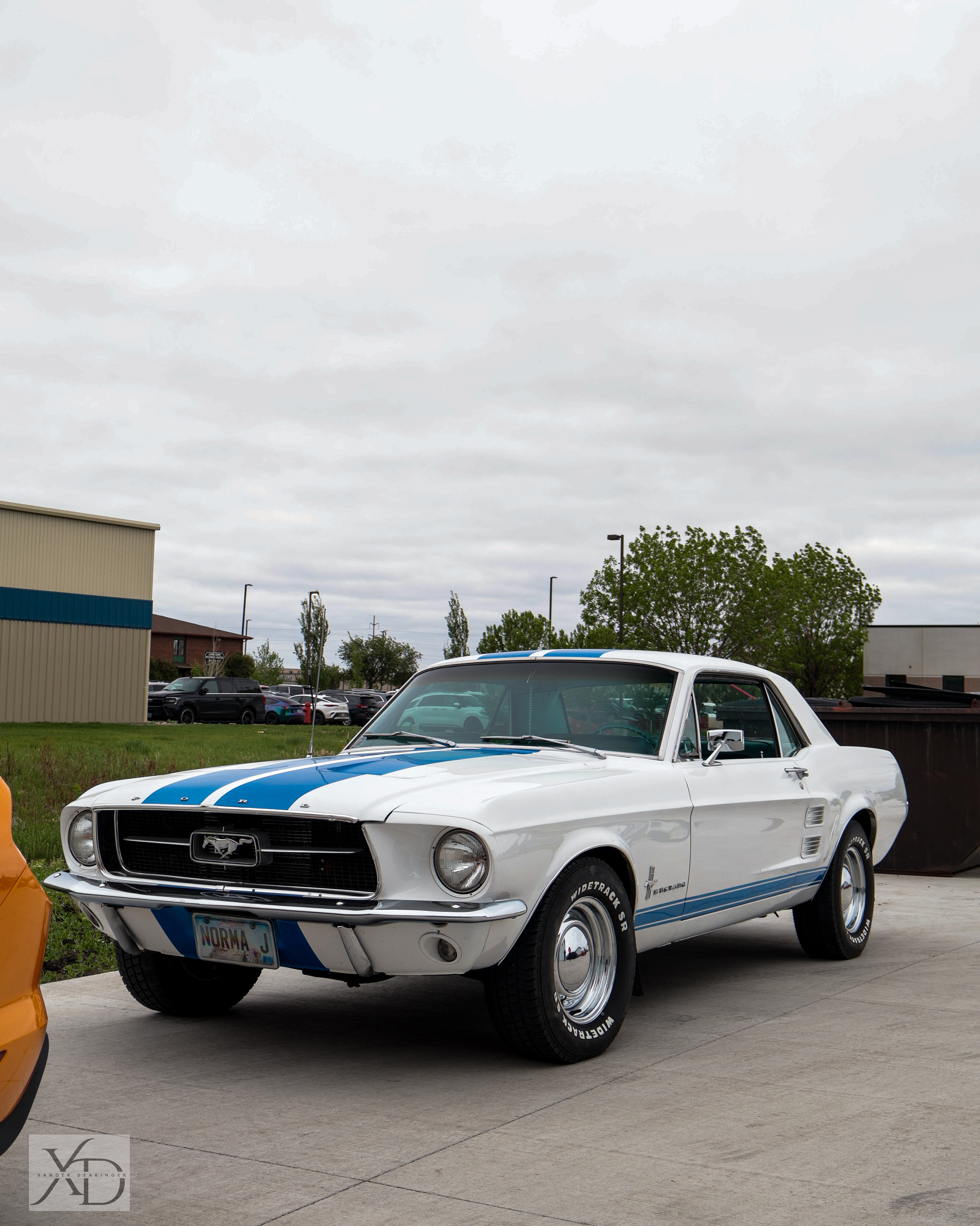Car show photo 27